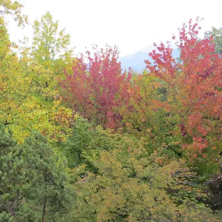 Panoramico Lungopassirio * Merano