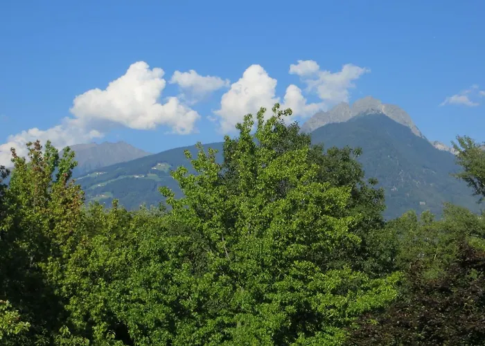 Panoramico Lungopassirio Apartment